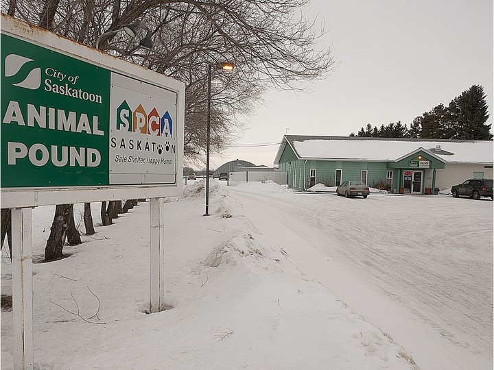  The Saskatoon SPCA has requested a review of its funding arrangement with the City of Saskatoon for providing animal pound services.