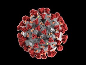 An image of a Sars-CoV-2 virion, or virus particle, which causes COVID-19.