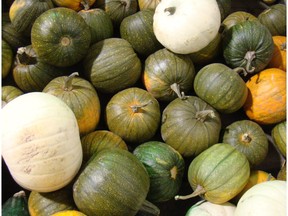 Mature green pumpkins that will ripen to orange along with some mature white pumpkins.