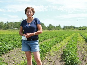 Dorothy Ahenakew has been the food security coordinator for the Ahtahkakoop community Garden Initiative Project for the past three years (Becky Zimmer / Local Journalism Initiative, The Battlefords Regional News-Optimist)