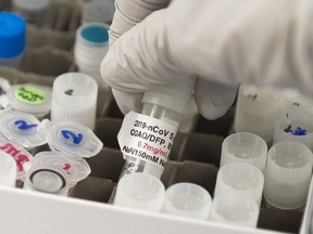 In this file photo Dr. Nita Patel, Director of Antibody discovery and Vaccine development, lifts a vial with a potential coronavirus, COVID-19, vaccine at Novavax labs in Rockville, Maryland on March 20, 2020, one of the labs developing a vaccine for the coronavirus, COVID-19.