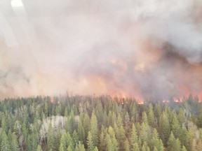 In May, Saskatchewan's only significant wildfire burned to a final area of 40,900 hectares in the Fort à la Corne forest. Photo provided by the Saskatchewan Public Safety Agency on September, 3, 2020. (Saskatoon StarPhoenix).