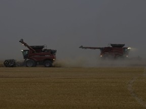 With harvest nearly finished, Saskatchewan farmers can take time off over the Thanksgiving weekend. Here, grain farmers harvest wheat during the fall season at G3 farms, west of Saskatoon, on Saturday, September, 19, 2020. Kayle Neis/Saskatoon StarPhoenix