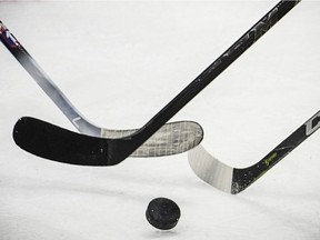 The Martensville Minor Hockey Association is suspending all activities until at least Dec. 1 due to high rates of community transmission of COVID-19.