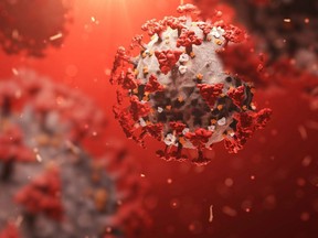 An image of the novel coronavirus that causes COVID-19.