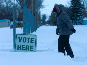 Saskatoon residents are going to the polls — again — on Friday.