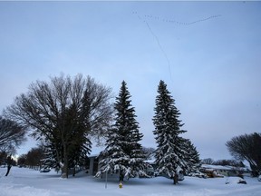 A flock of geese fly south Monday morning after a record-breaking snowfall.
