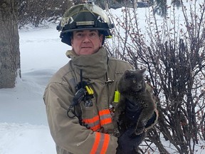 The cat Saskatoon firefighters retrieved from a Matheson Drive apartment fire "suffered no ill effects," as a result of the fire.