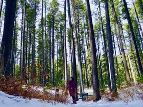 Saskatchewanderer Leah Mertz was tasked with exploring the province in a year when people were told to stay home. Mertz in Cypress Hills Inter-Provincial Park.