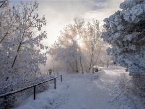 Frost coats trees along the Meewasin Trail as temperatures dipped below -30 degrees Celsius in Saskatoon on Jan. 25, 2021.