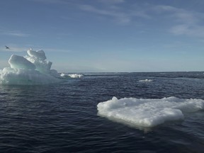 Floating ice is seen during the expedition of the The Greenpeace's Arctic Sunrise ship at the Arctic Ocean, September 14, 2020.