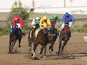 Horses race down the track at Marquis Downs in 2017.