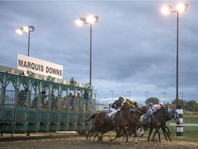 Races leave the gate at Marquis Downs in Saskatoon on Saturday, August 15th, 2015.