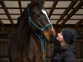 Saskatoon jockey Nicole Hein, pictured with her retired race horse Ben at Rivers Edge Stables, is among those fighting to save thoroughbred horse racing in the province.