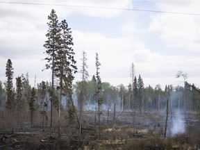 This photo from May 18 shows damage caused by the Cloverdale fire.