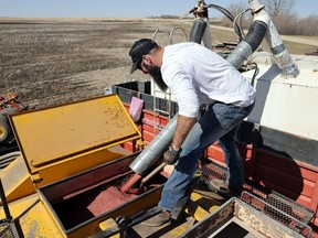 A farmer sprays a canola crop south of Regina. DON HEALY / Regina Leader-Post