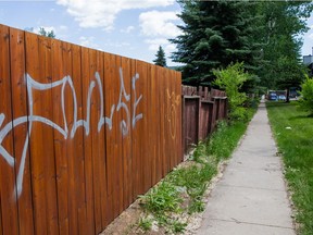 Graffiti can be seen on fences along the community walkway near Turtle Crescent. Some of the walkways, which are typically located in older communities, have drawn complaints over vandalism, loitering and other nuisance or criminal behaviour.