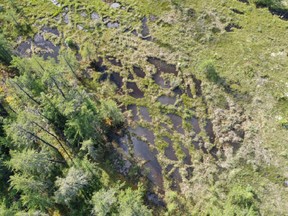 An aerial shot of wetlands in the Saskatchewan River Delta. Photo provided by the Canadian Parks and Wilderness Society Saskatchewan.
