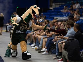 Fans are back in the stands at SaskTel Centre for a Saskatoon Rattlers game after COVID-19 health restrictions have eased. Photo taken in Saskatoon on July 12, 2021.