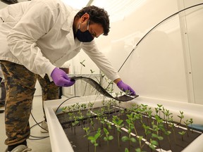 A tour of the new Global Institute for Food Security research facility at the University of Saskatchewan.