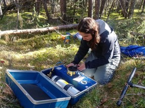 University of Saskatchewan graduate Magali Nehemy conducting field research to investigate how trees use water in forest environments. (Submitted photo) (for Saskatoon StarPhoenix Young Innovators series, October 2021)