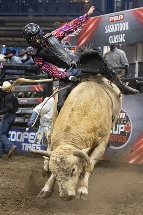 PHOTO GALLERY: Back in the saddle, PBR returns to Saskatoon | The Star ...