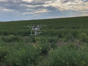 A Precision.ai Inc. drone equipped with herbicide spray nozzles flies over a field. (supplied photo).