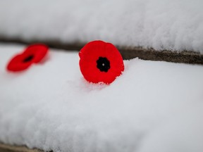 Remembrance Day poppies sit along the top of the memorial wall at the University of Saskatchewan's Remembrance Day wreath-laying ceremony held at the Memorial Gates on campus in Saskatoon, on Thursday, Nov. 11, 2021.