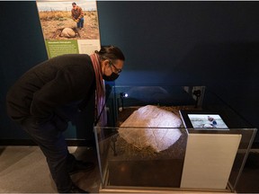 Jarvis Pelletier takes a close look at one of the petroglyphs (large carved stones) discovered in Wanuskewin Heritage Park, which expands the park's archeological record significantly. The stones were first uncovered by one of the park's bison.