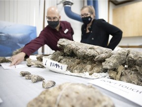 Paleontologist Wes Long, left, shows Parks, Culture and Sport Minister Laura Ross newly discovered fossils at the Royal Saskatchewan Museum Annex on Friday, November 26, 2021 in Regina.