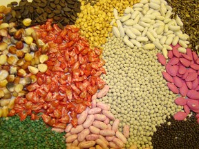 Gardening: When and why you should replace your back garden seeds 1 A variety of treated and untreated vegetable seeds, including corn, carrots, beans, melons and cabbage