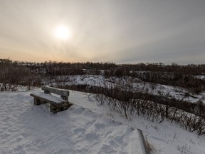 Beaver Creek Conservation Area will be host to Meewasin's Twig and Bud survey this weekend, where participants will learn to identify trees and shrubs. Photo taken in Saskatoon, Jan. 20, 2022.