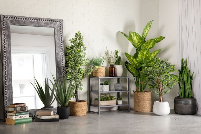 Top winter design trends to keep your cave cozy The Star Phoenix