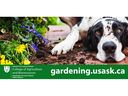 Gardening at the University of Saskatchewan website