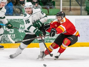 University of Saskatchewan Huskies forward Jared Dmytriw (15) and University of Calgary Dinos forward Connor Gutenberg (8) battle for the puck during the Sports Canada West men's hockey playoff action at Merlis Belsher Place in Saskatoon on Feb. 25, 2022.