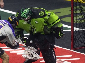 Saskatchewan Rush goalie Adam Shute (31) scoops up the ball under pressure from San Diego Seals forward Wesley Berg (14) during first-period NLL action in Saskatoon on Friday, January 14, 2022.