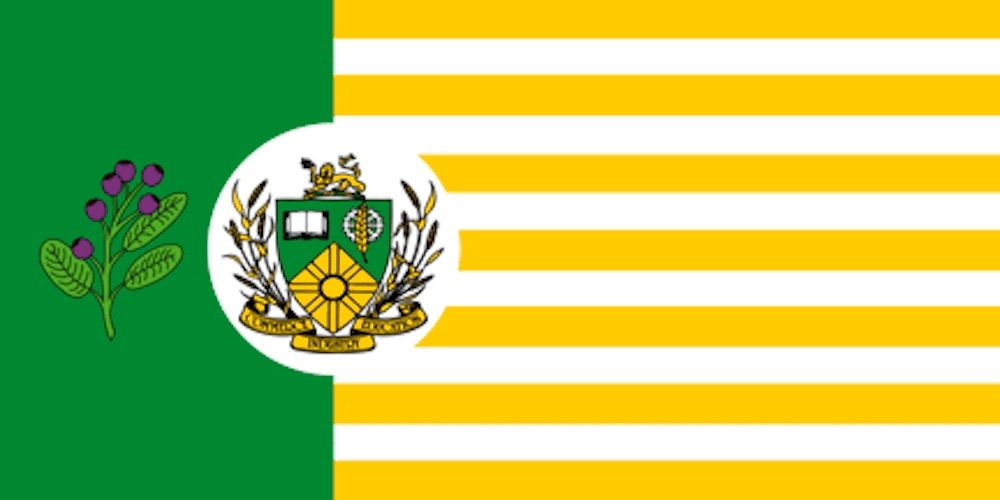 Saskatoon flag