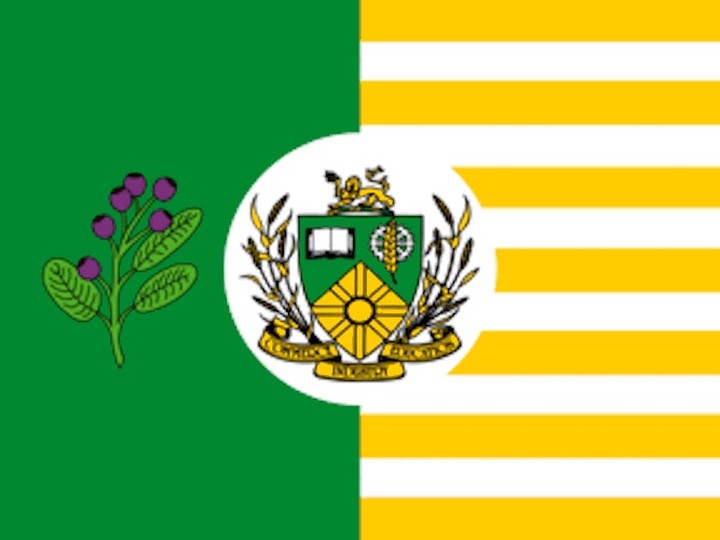  The City of Saskatoon flag was loosely modelled after the American national flag with 13 horizontal bars. The 1952 design by artist Deck Whitehead was rediscovered in 1966, when the city was looking in 1966 to adopt a flag as part of marking the 60th anniversary of Saskatoon’s incorporation.
