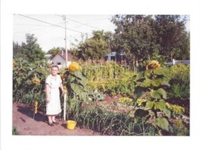 A first generation Canadian of Ukrainian heritage with sunflowers taller than she is, from 1991.