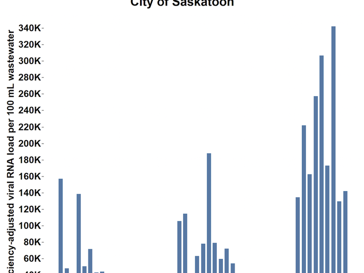  Overall viral load in Saskatoon wastewater. Graphic provided by Dr. John Giesy.
