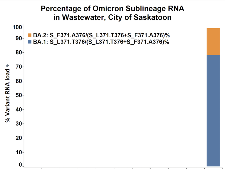  Omicron subvariants in Saskatoon wastewater. Graphic provided by Dr. John Giesy.