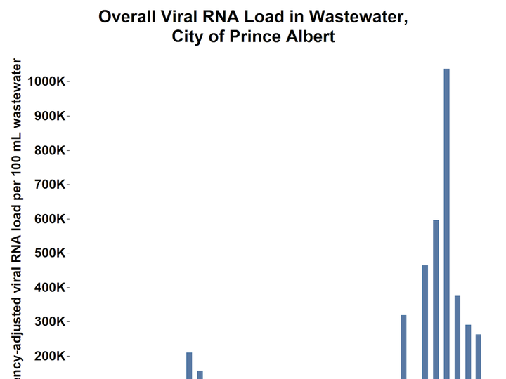  Overall RNA load in Prince Albert’s wastewater. Graphic provided by Dr. John Giesy.