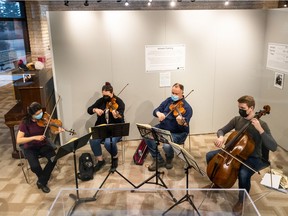 Veronique Mathieu, Jacqueline Nutting, Jim Legge and Scott McKnight (left to right) rehearse with the University-owned Amati instruments on April 18, 2022. The quartet will be putting on two performances with the special instruments at the Diefenbaker Canada Centre on April 29 and May 1.