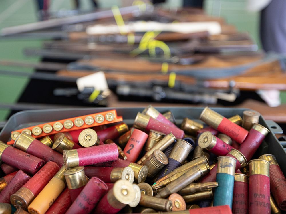 Annual provincewide firearm amnesty program launches Monday The Star