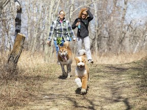 A big part of dog park etiquette is to be aware of who your dog is as an individual and what kind of personality they have.