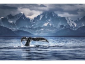 Coalescent is the nature photo that won Deborah MacEwen sixth place in the 2022 World Photographic Cup.