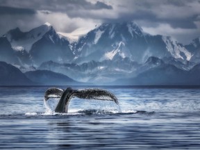 Coalescent is the nature photo that won Deborah MacEwen sixth place in the 2022 World Photographic Cup.
