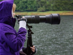 Deborah MacEwen photographing grizzlies in the Khutzeymateen Valley, a remote inlet north of Prince Rupert that is only accessible by sea or air.