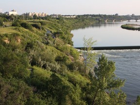 The riverbank is prime bird habitat and a walk along the trails offers excellent viewing opportunities.