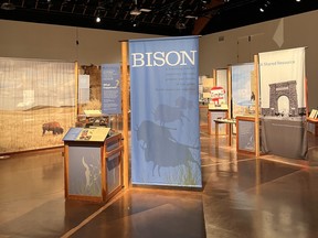 Touring exhibition Ancient Pathways is at Wanuskewin Galleries through August 2022.